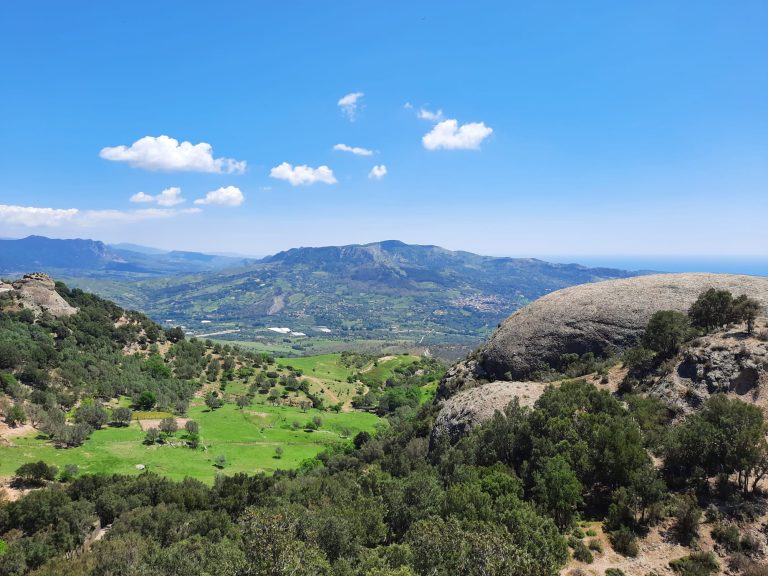 a mountain in sight on the horizon, surrounded by nature, rocks and forests
