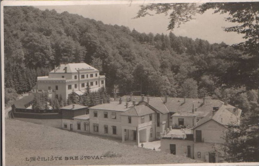 Hospital-Brestovac